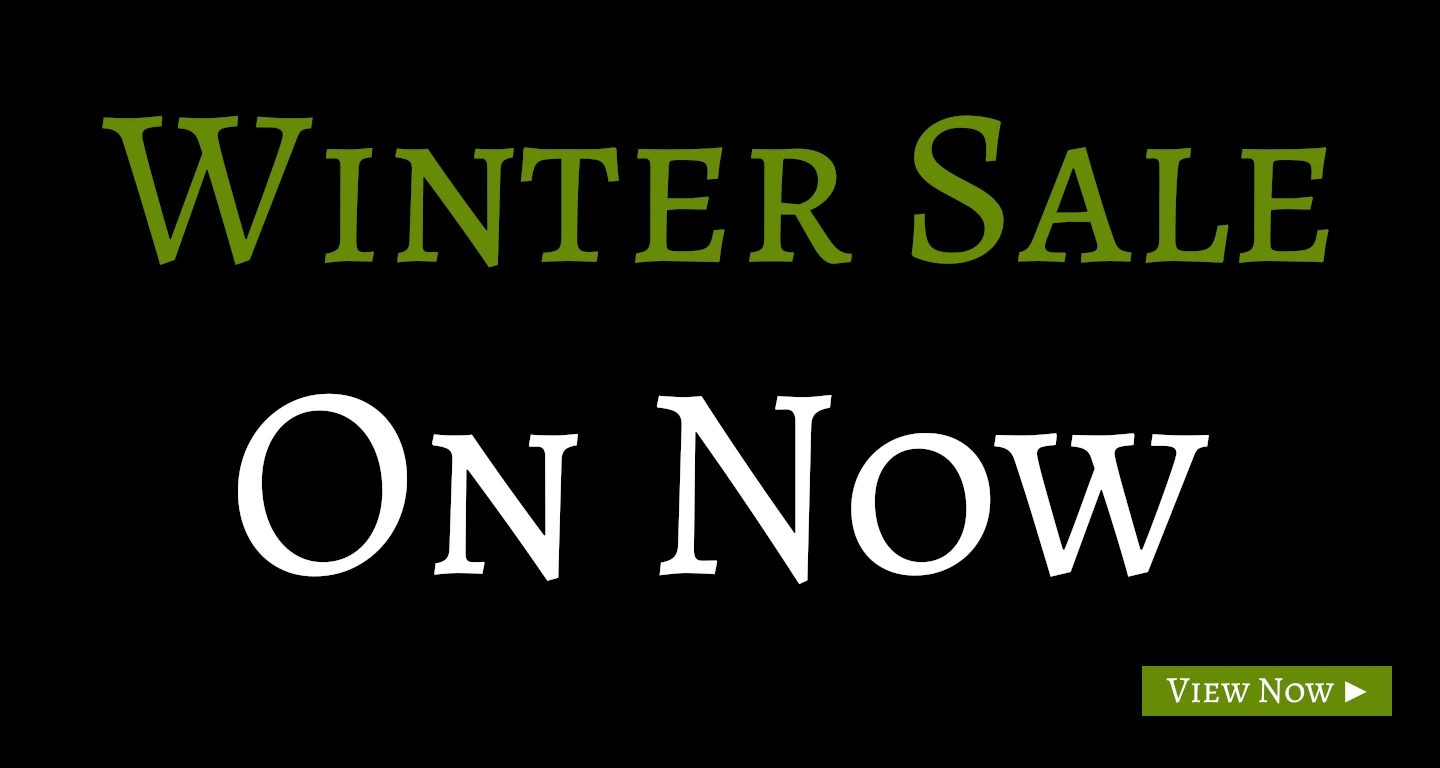 winter sale banner