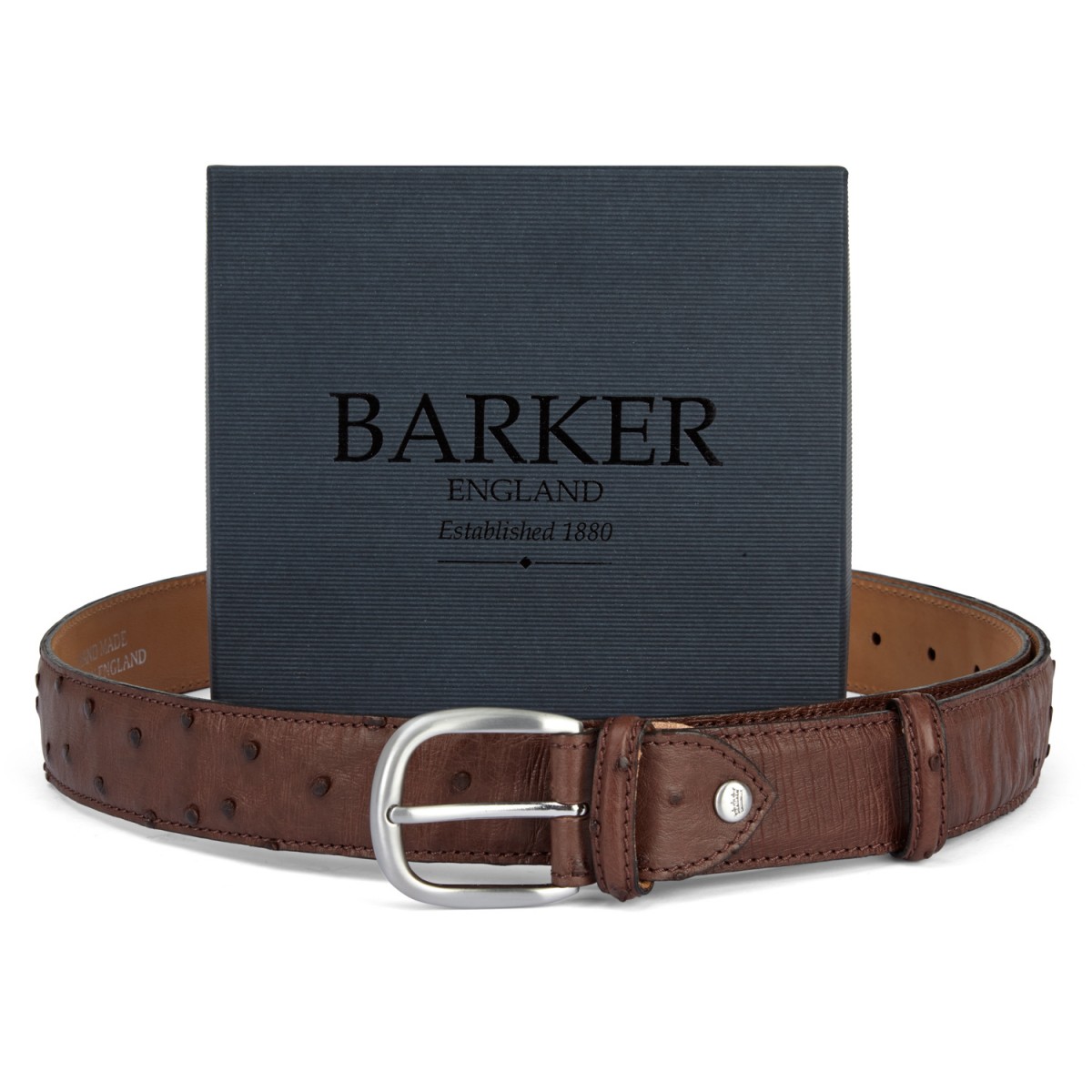 Barker Ostrich leather Belt - Pediwear 